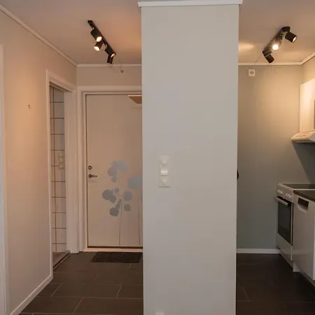 Apartment Modern Apt, Near Centre , Walking Distance