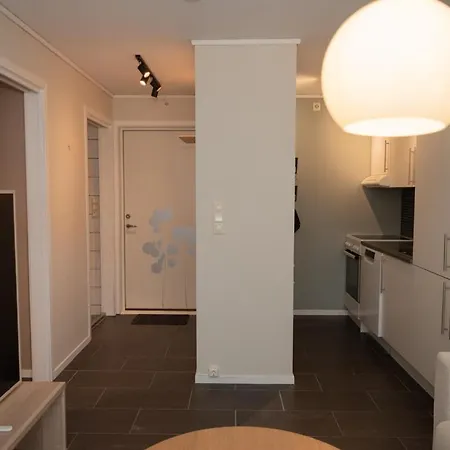 Modern Apt, Near Centre , Walking Distance Appartement *